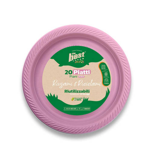 The Best Piatti Piani Riutilizzabili 20 Pz, Rosa