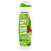 Vidal Bagno Schiuma Aloe Vera 500 ml