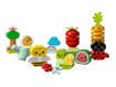 Lego Duplo My First 10984 Giardino biologico