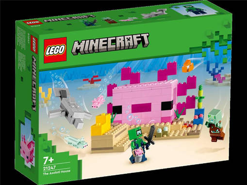 Lego Minecraft 21247 La casa dell’Axolotl