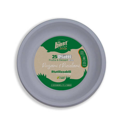 Argento Piatti Frutta Riutilizzabili 25 Pz