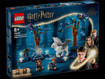Lego Harry Potter TM 76432 Foresta Proibita: creature magiche
