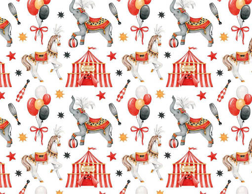 Marpimar - Carta Florentia Circus FLE22