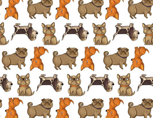 Marpimar - Carta Florentia Cani Misti FLE15