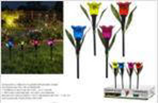 LAMPADA SOLARE FIORE IN DISPLAY