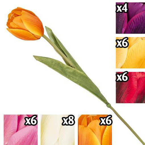 VEA GIG 23705 STELO TULIPANO ASS 36/72