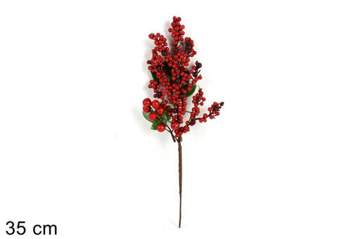 Spillone Bacche Piccole C/Foglie