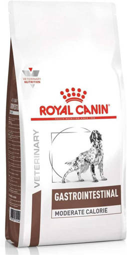Royal Canin Vhn Dog Gastro Int Mc 2K