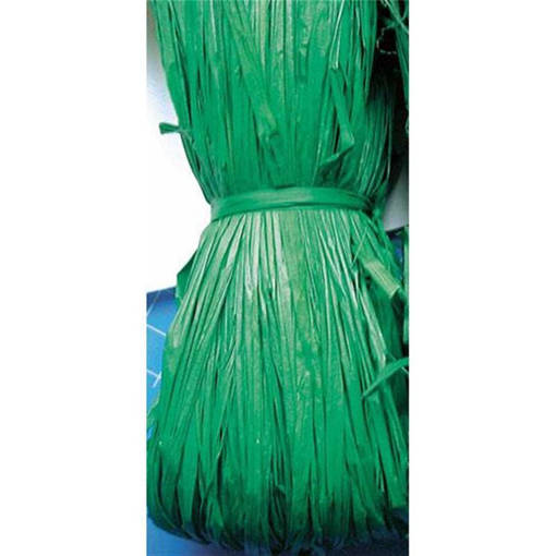 CWR - Rafia Naturale - Pacchetto Gr.50 - Verde Natale 04664
