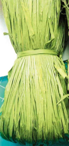 CWR - Rafia Naturale - Pacchetto Gr.50 - Verde Acido 08529