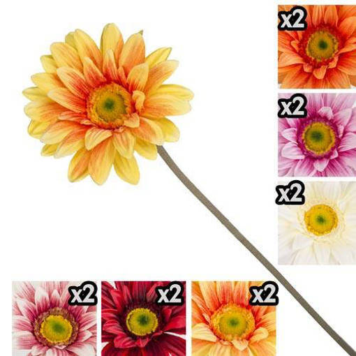  STELO GERBERA GIG 35839