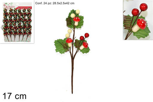 CHIUDIPACCO BACCHE E FUNGHI