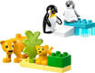 Lego DUPLO Town 10442 Famiglie di animali: pinguini e leoni