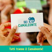 Asmodee - Il Camaleonte 7643