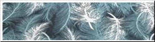 Desi Cuscino 4 Punti Col.161