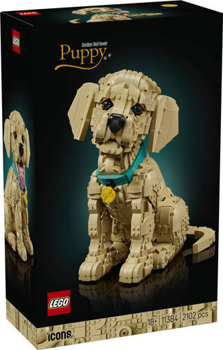 Lego Icons 11384 Cucciolo di Golden Retriever