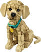 Lego Icons 11384 Cucciolo di Golden Retriever