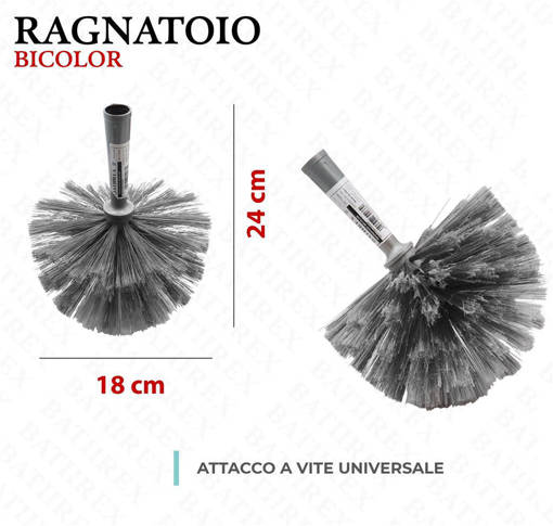 Bathrex Ragnatoio Bicolor