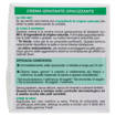 Garnier Skinactive Idratante Prodigiosa Con Te' Verde Crema Idratante Opacizzante 50 ml Pelli Miste O Grasse