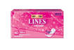 Lines Intervallo Cotton Soft Regular Disteso 40 pz