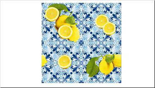 Zambetti Tess Pvc 20 Mt H140 Digit. Dis 82