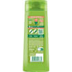 Fructis Shampoo Capelli Secchi 2 In 1 250 ml