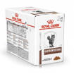 12PZ X85GRoyal Canin Vhn W Cat Gastro Int 