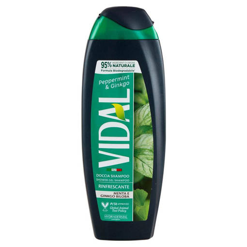 Vidal Doccia Schiuma 250 ml Mint & Ginkgo ml 250