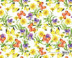Marpimar - Carta Regalo Fiori Margherite ERAC21