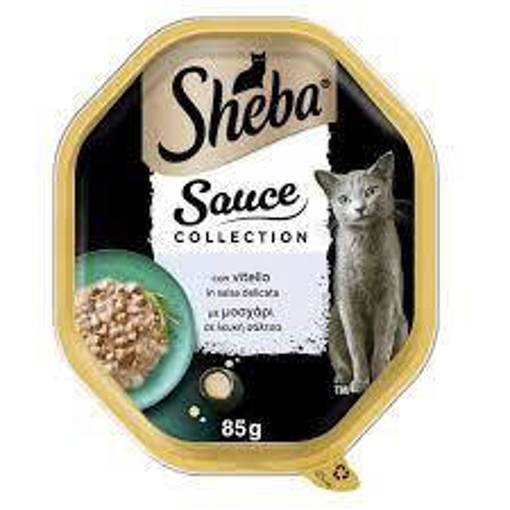 SHEBA SAUCE COLLECTION VITELLO GR85