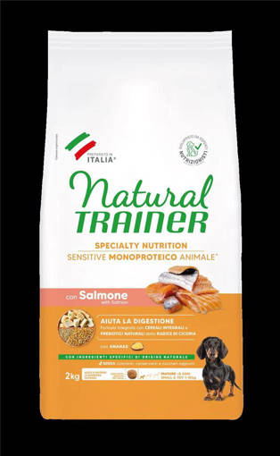 Natural Trainer Cane Mature No Gluten 2 kg Salmone