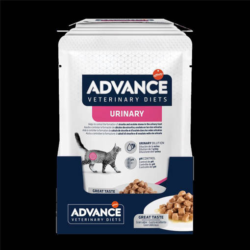 Advance Gatto Urinary 85 gr
