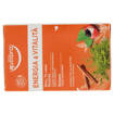 Equilibra Tisana Energia & Vitalità Con Mate Té Verde Guaranà Ginseng 15 filtri