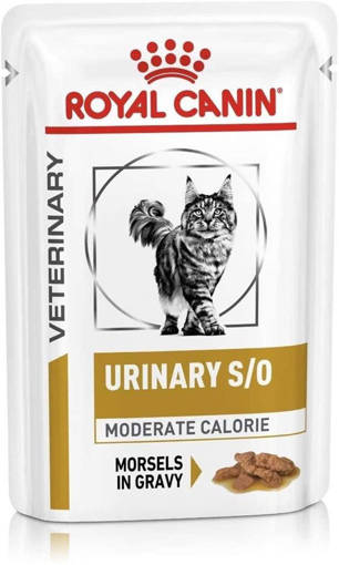 Royal Canin gatto urinary mc 12x85 gr