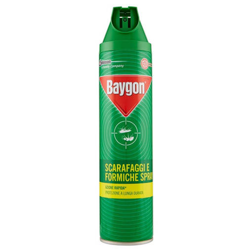 Baygon Scarafaggi e Formiche Verde Classico Spray Az. Rapida 400 ml