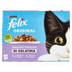 Felix Multipack Promo 10X85G In Gelatina