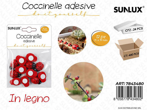 Coccinelle Adv In Legno 12Pcs 14*19Mm /Pz Da 24**