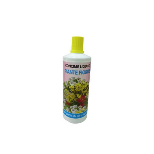 Petalo Rosso Piante Fiorite 1 Kg