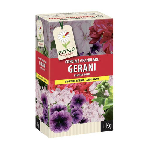 Petalo Rosso Gerani E Piante Fiorite 1 Kg