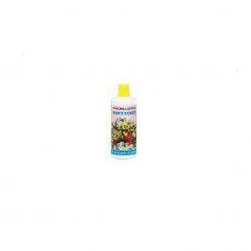 Inflora Piante Fiorite  1 Kg