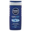 NIVEA DS COOL KICK FOR MEN ML.250