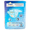 Pampers Sole e Luna Maxi Taglia 4 (7-18 Kg), 17 Pannolini
