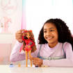 Mattel - Barbie - Barbie Dream Besties - Teresa HYC23