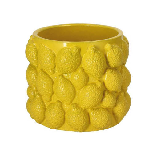 Cachepot in cemento