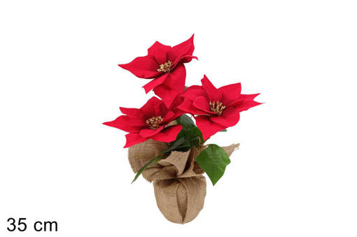 Piantina Stelle Di Natale C\Base Juta 35 Cm