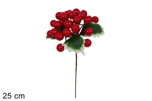 Stelo Bacche Rosse C/Foglie