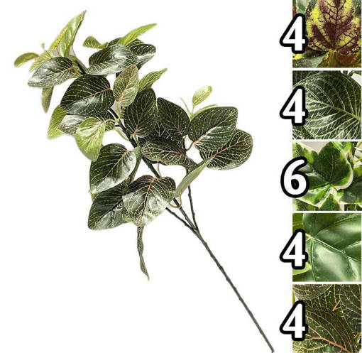 STELO VERDANT TROPICALE 74CM 5ASS
