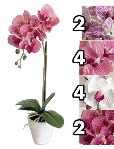 ORCHIDEA REAL TOUCH 48CM 4ASS