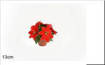 Piantina Stella Di Natale 5 Fioriart.Xy15-388