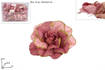 Pinzone Fiore Rosa C/Glitter Oro 2019312